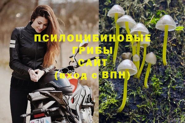 ГАЛЛЮЦИНОГЕННЫЕ ГРИБЫ Надым