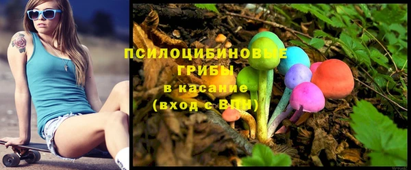 твердый Абаза