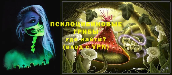 твердый Абаза