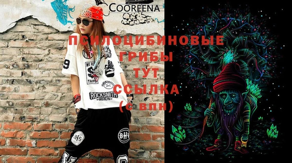 твердый Абаза