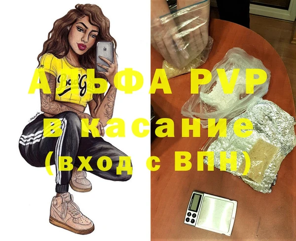 твердый Абаза