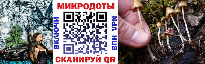 Галлюциногенные грибы Psilocybine cubensis  купить   Сольцы 